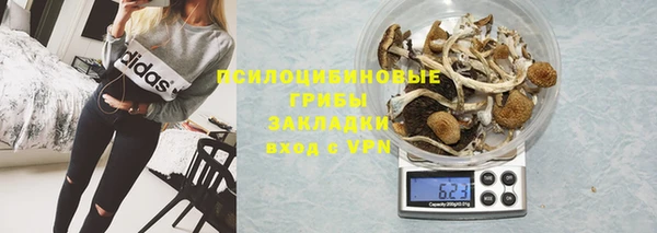 спайс Михайлов