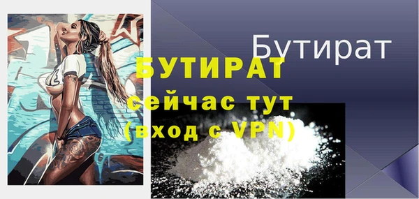 индика Вязники